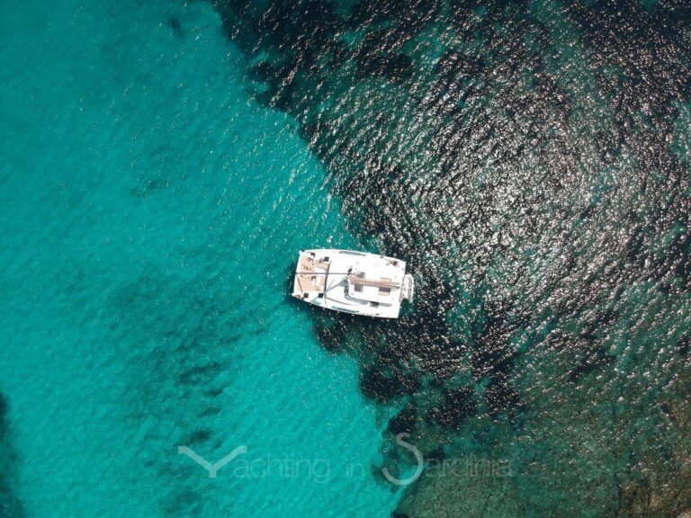 Esperienza in catamarano